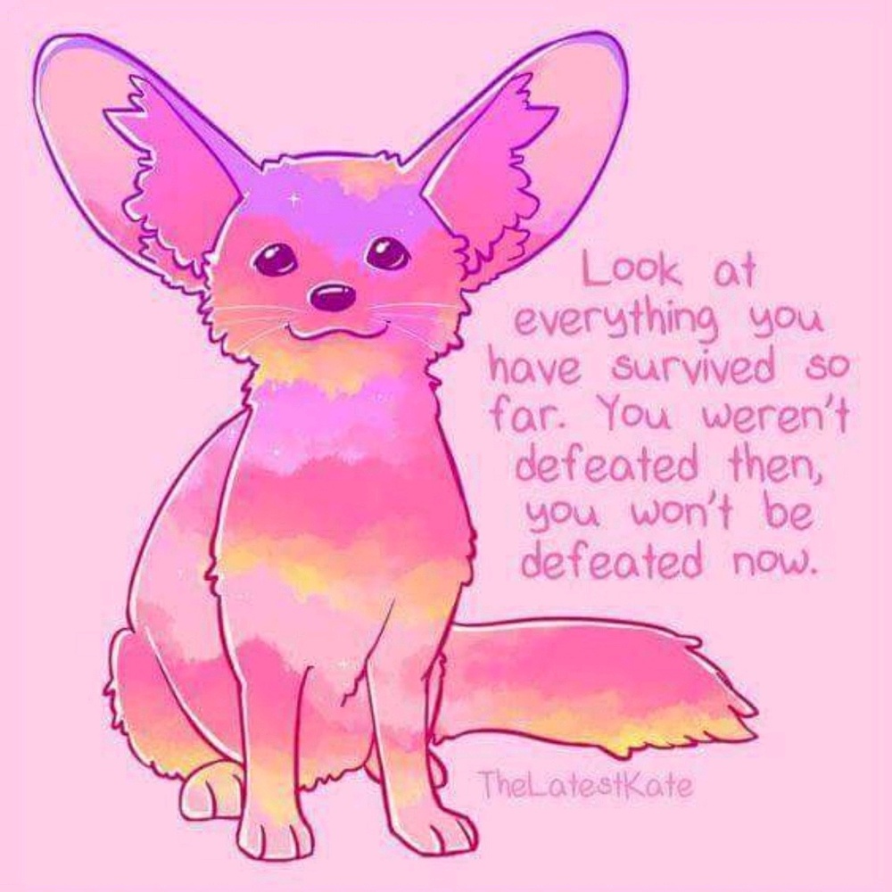 Meet your Posher, Sylvia